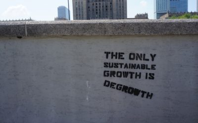 Investing in Degrowth