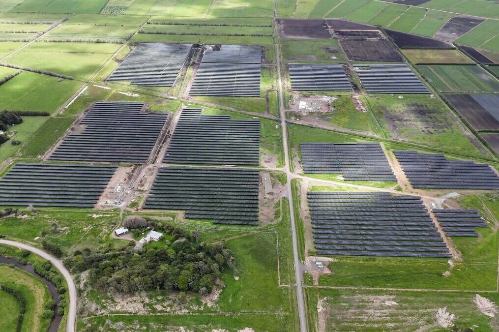 Kaitāia Live – Lodestone Powers On NZ’s Largest Solar Farm