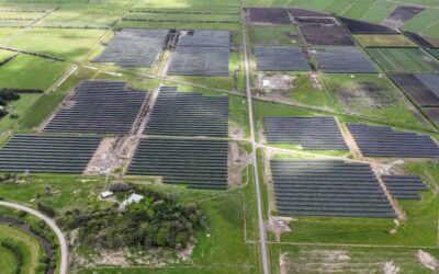 Kaitāia Live – Lodestone Powers On NZ’s Largest Solar Farm