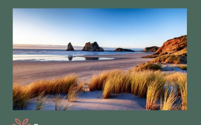 Purpose Capital Launches Fund 2 to Finance the Energy Transition